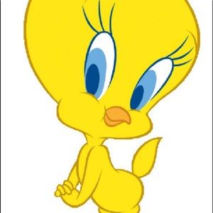 Meet your Posher, Mayuri